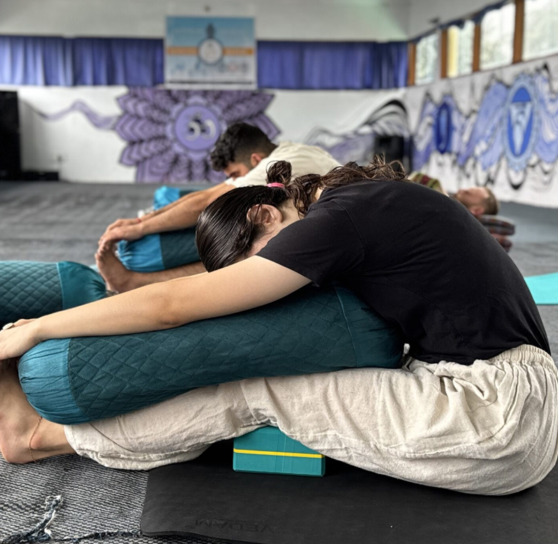 50-Hours-Yin-Yoga-TTC-in-Dharamshala
